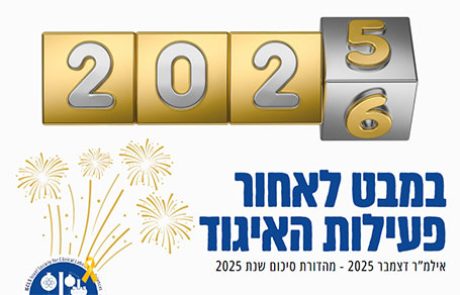 מסכמים שנה של עשייה מקצועית | עלון אילמ"ר